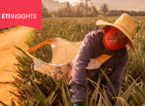 Agricultural worker battling extreme heat at work