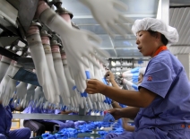 A plastic glove factory in China courtesy of Shutterstock